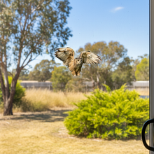 Load image into Gallery viewer, Flying Owl on Sliding Door