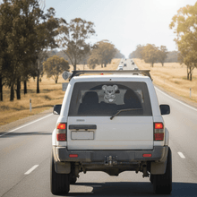 Load image into Gallery viewer, Grumpy Koala on 4WD Window