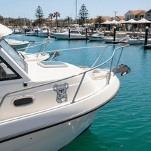 Load image into Gallery viewer, Grumpy Koala on Boat