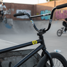 Load image into Gallery viewer, Hazard Symbol on BMX