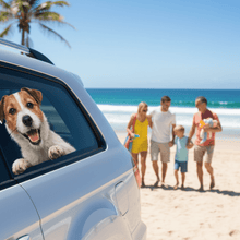 Load image into Gallery viewer, Jack Russell - Beach