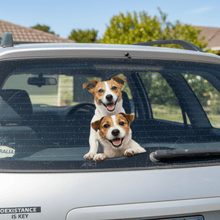 Load image into Gallery viewer, Jack Russell - Double dog