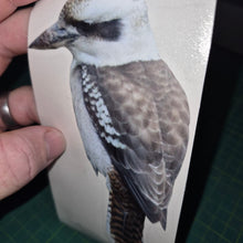 Load image into Gallery viewer, Sticker with a kookaburra bird design held by a hand on a green background