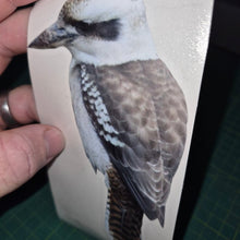Load image into Gallery viewer, Sticker with a kookaburra bird design held by a hand on a green background