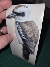 Load image into Gallery viewer, Sticker with a kookaburra bird design held by a hand on a green background