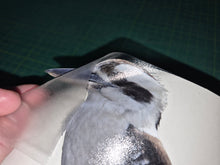 Load image into Gallery viewer, Clear plastic sheet with a printed image of a bird held by a hand on a dark background