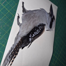 Load image into Gallery viewer, Bird illustration on a white card with a green cutting mat background