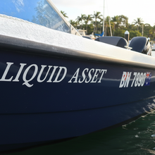 Load image into Gallery viewer, Liquid Asset