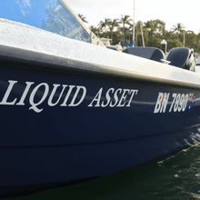 Load image into Gallery viewer, Liquid Asset