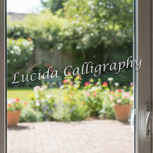 Load image into Gallery viewer, Lucida on sliding door