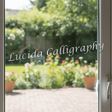Load image into Gallery viewer, Lucida on sliding door