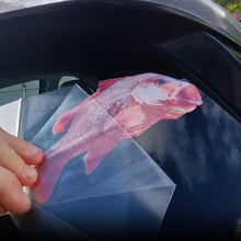 Load image into Gallery viewer, Hand holding a red mangrove jack fish decal against a car window