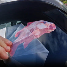 Load image into Gallery viewer, Hand holding a red mangrove jack fish decal against a car window