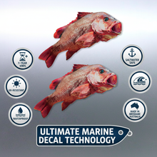 Load image into Gallery viewer, Product Features Mangrove Jack Decal