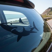 Load image into Gallery viewer, Rear car window coastal road shark decal