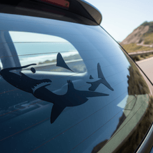 Load image into Gallery viewer, Rear car window coastal road shark decal