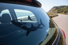Load image into Gallery viewer, Rear car window coastal road shark decal