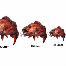 Load image into Gallery viewer, Size Chart of mangrove jack decals