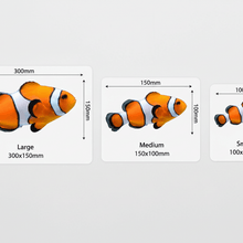 Load image into Gallery viewer, clownfish Size Chart