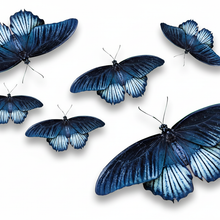 Load image into Gallery viewer, Size comparison blue butterfly