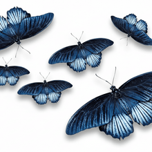 Load image into Gallery viewer, Size comparison blue butterfly