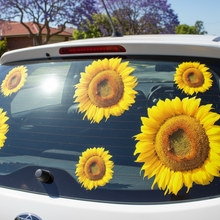 Load image into Gallery viewer, Sunflower - Car window