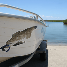Load image into Gallery viewer, Tinnie Hull flathead decal lure