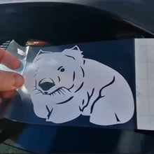 Load image into Gallery viewer, White tiger decal being applied to a car window