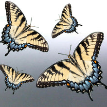 Load image into Gallery viewer, 4 of Butterfly decals vinyl cut Sticker bug tribal decal