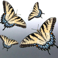 Load image into Gallery viewer, 4 of Butterfly decals vinyl cut Sticker bug tribal decal