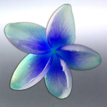 Load image into Gallery viewer, Frangipani Sticker vinyl cut Blue & Green colour l
