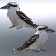 Load image into Gallery viewer, Mirrored pair of native Kookaburra decal Sticker V
