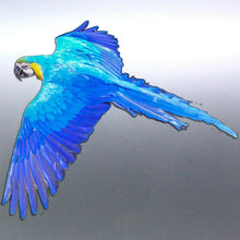 Load image into Gallery viewer, Blue Macaw in flight decal Sticker Vinyl cut Austr