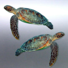 Load image into Gallery viewer, Mirrored pair of Turtle decals Great barrier Reef ocean