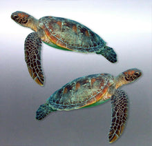 Load image into Gallery viewer, Mirrored pair of Turtle decals Great barrier Reef ocean