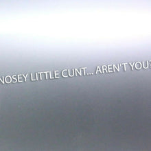 Load image into Gallery viewer, 1.5 Meters long Nosey little c#nt aren't you decal