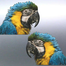 Load image into Gallery viewer, Mirrored Macaw head Stickers Vinyl decal of real p