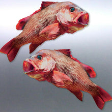 Load image into Gallery viewer, Mirrored pair Mangrove Jack Sticker Spearfishing A