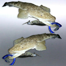 Load image into Gallery viewer, Mirrored Pair of Flathead decal Vinyl cut sticker