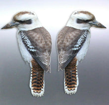 Load image into Gallery viewer, 10 Kookaburra Sticker Vinyl cut Australian made re