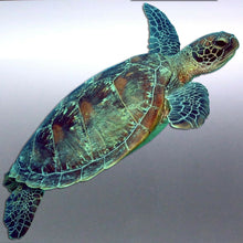 Load image into Gallery viewer, Turtle Sticker Great barrier Reef Fish Vinyl cut C