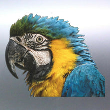 Load image into Gallery viewer, Macaw head decal Sticker Vinyl cut Australian made