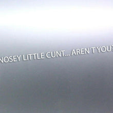Load image into Gallery viewer, 1 Meters long Nosey little c#nt aren't you decal s