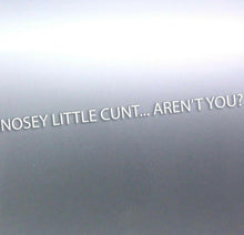 Load image into Gallery viewer, 1 Meters long Nosey little c#nt aren't you decal s