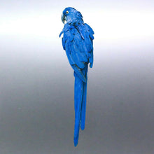 Load image into Gallery viewer, blue parrot Macaw Sticker Vinyl cut decal Australi