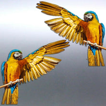 Load image into Gallery viewer, Mirrored Macaw Stickers Vinyl decal of real photo