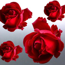 Load image into Gallery viewer, 4 x roses Stickers vinyl cut photo red Australia d