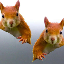 Load image into Gallery viewer, Mirrored pair of Squirrels peeking sticker Animals decal