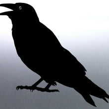 Load image into Gallery viewer, Crow Sticker Vinyl cut Australian made high gloss