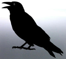 Load image into Gallery viewer, Crow Sticker Vinyl cut Australian made high gloss